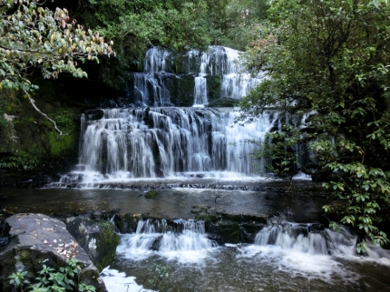 catlins (11)